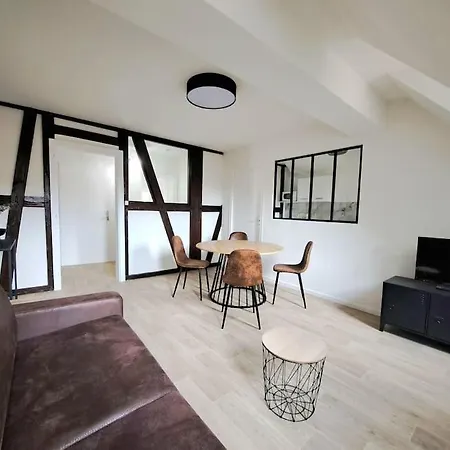 Appartement Centre Historique Avec Parking Inclus Colmar Exterior photo